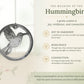 Meaning of the hummingbird: a symbol of love, joy and remembrance
