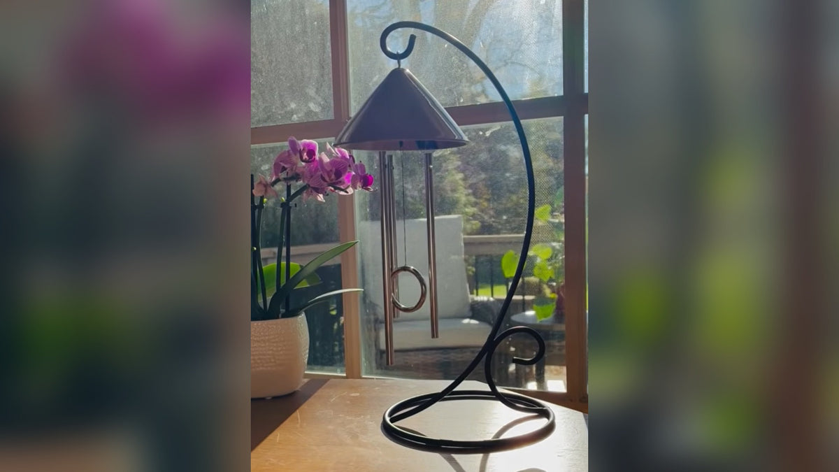 Load video: sprite chiming in sunlight